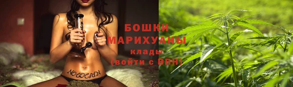 молекула духа Бородино