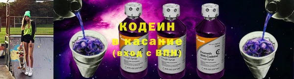 молекула духа Бородино