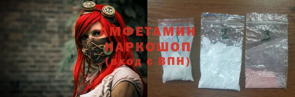 молекула духа Бородино