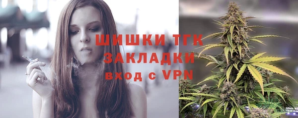 молекула духа Бородино